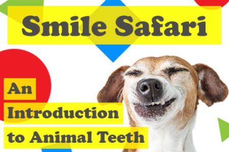 Smile Safari: An Introduction to Animal Teeth (featured image)