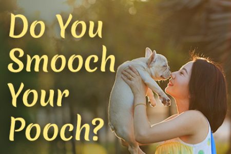 Do You Smooch Your Pooch? (featured image)