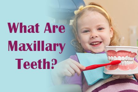What Are Maxillary Teeth? (featured image)