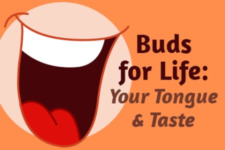 Buds for Life: Your Tongue & Taste (featured image)